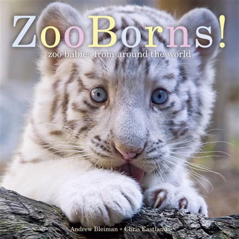 This book cover released by Beach Lane Books shows the cover of \"ZooBorns!\" by Andrew Bleiman and Chris Eastland.  The ZooBorns website gets about a million hits a month and is the only wild baby animal site endorsed by the Maryland-based Association of Zoos and Aquariums.   (AP Photo/Beach Lane Books)  NO SALES
